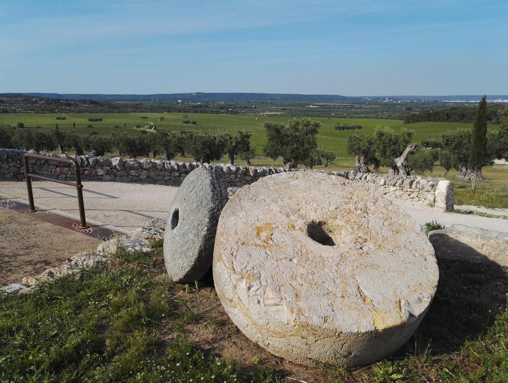 Masseria Amastuola Wine Resort 크리스피아노 외부 사진